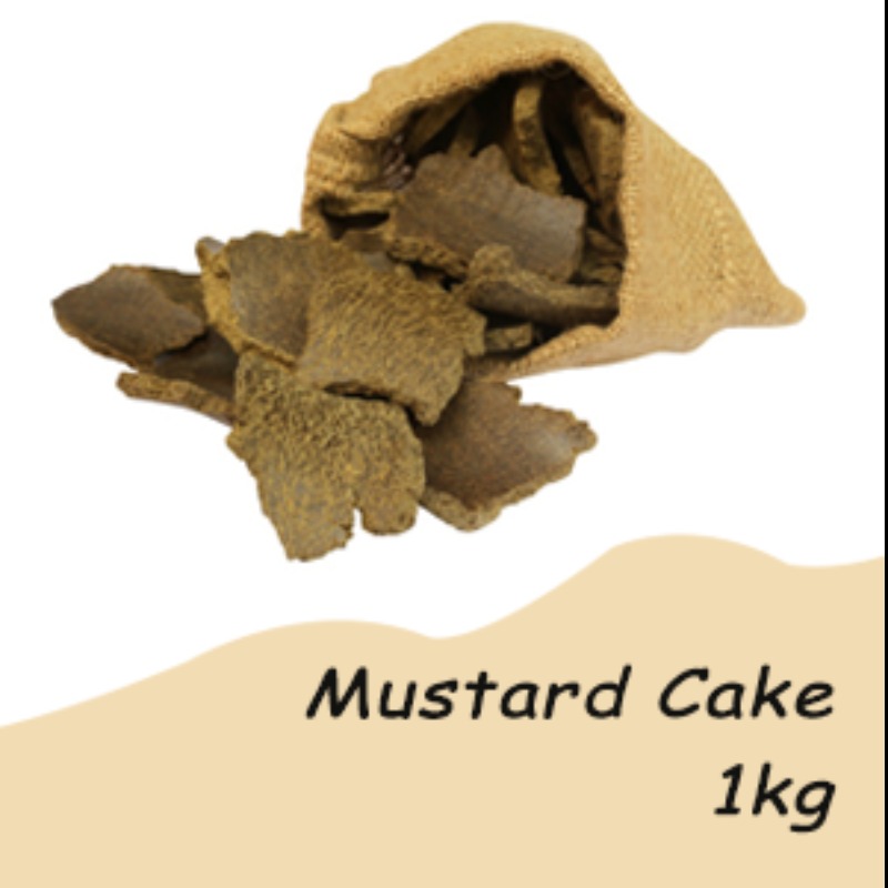 MUSTARD CAKE